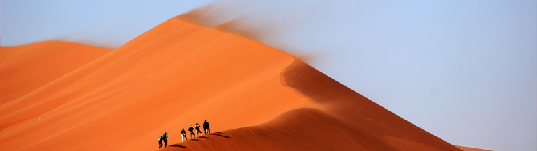 banner pagine interne dune